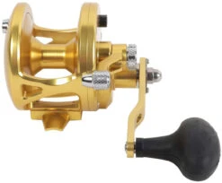 Avet JX 6.0 G2 1 Speed Reel - Gold (No Glide Plate) 8 Avet JX 6.0 G2 1 Speed Reel - Gold (No Glide Plate) -BKK Fishing Gear Shop avet jx 6 0 g2 rh gd ngp reel 28669.1670274062