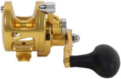 Avet SXJ 5.3 G2 NGP 1 Speed Reel - Gold (No Glide Plate) -BKK Fishing Gear Shop avet sxj 5 3 g2 rh gd ngp reel 48123.1670343029
