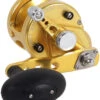 Avet SXJ 5.3 G2 NGP 1 Speed Reel - Gold (No Glide Plate)