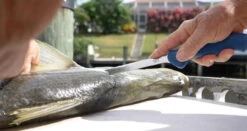 Cuda AquaTuff Fillet Knifes With Blade Cover -BKK Fishing Gear Shop cuda aquatuff fillet knifes with blade cover 74934.1676038841