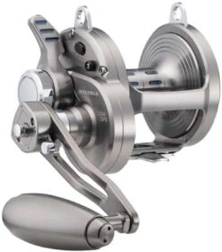 Daiwa Saltiga LD Lever Drag Conventional Reels 5 Daiwa Saltiga LD Lever Drag Conventional Reels -BKK Fishing Gear Shop daiwa saltiga ld lever drag conventional reels 55579.1651356965