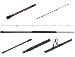 Jigging World Nexus Surf Spinning Rods