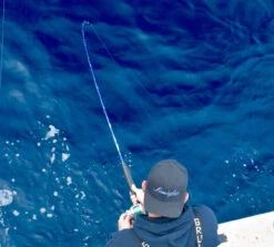 Lamiglas Bluewater Series Rods 6 Lamiglas Bluewater Series Rods -BKK Fishing Gear Shop lamiglas bluewater series rods 05107.1651112013