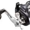 Shimano Tekota Levelwind Conventional Reels