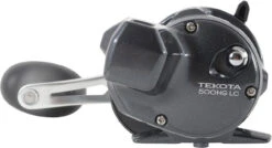 Shimano Tekota Levelwind Conventional Reels -BKK Fishing Gear Shop shimano tekota levelwind reels 26874.1651006806
