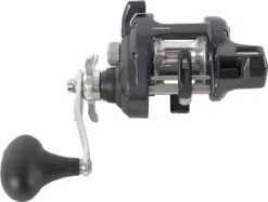Shimano Tekota Levelwind Conventional Reels -BKK Fishing Gear Shop shimano tekota levelwind reels 32731.1651006806