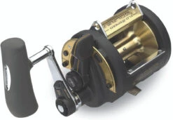 Shimano TLD-2 Speed A Lever Drag Reels -BKK Fishing Gear Shop shimano tld 2speed a reels 20310.1651006923
